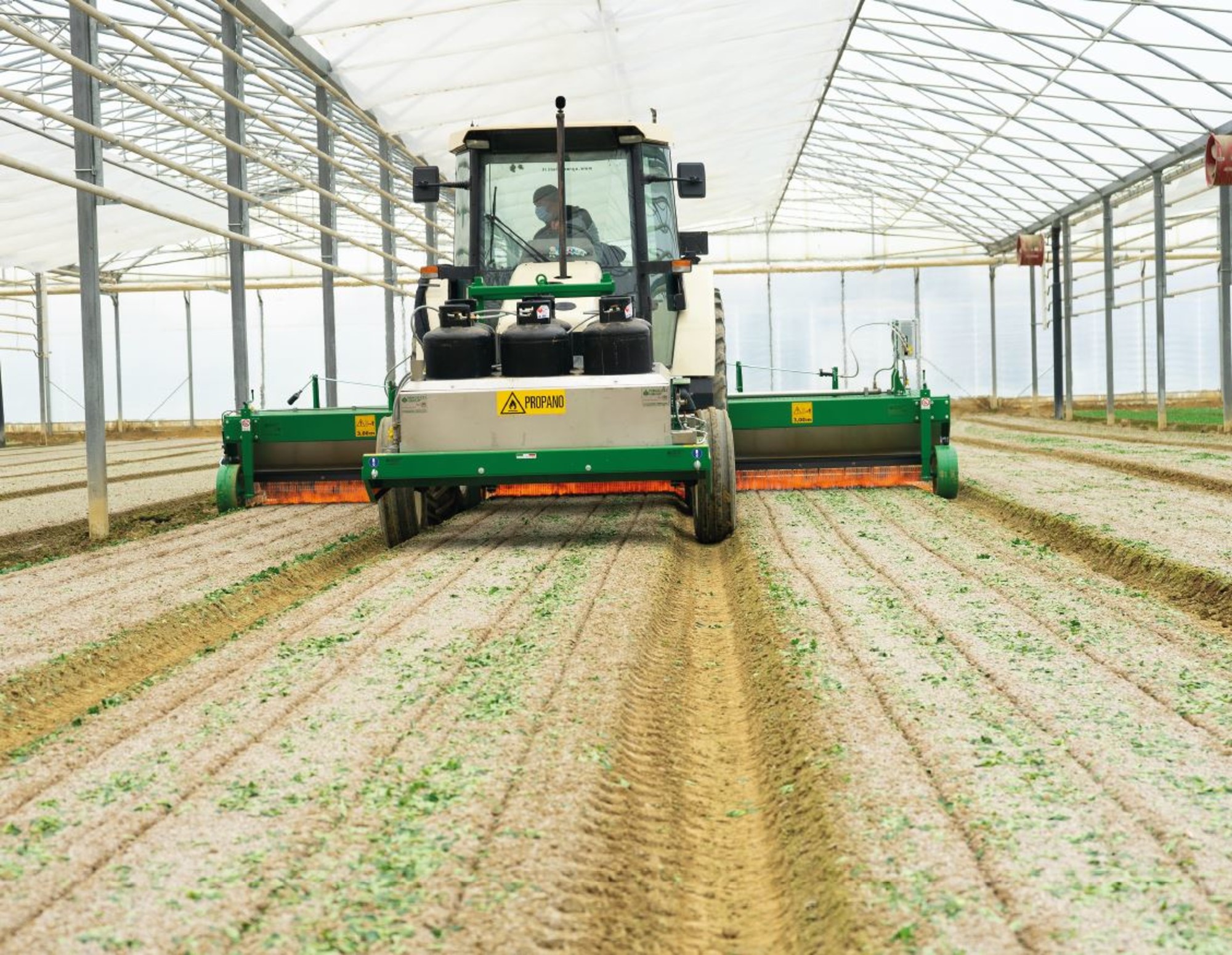 Soil Sterilization Why it Matters for Gardens and Farms Day Nursery